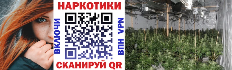Где купить наркоту Иланский COCAIN  Бошки Шишки  МЕФ  ГАШ 