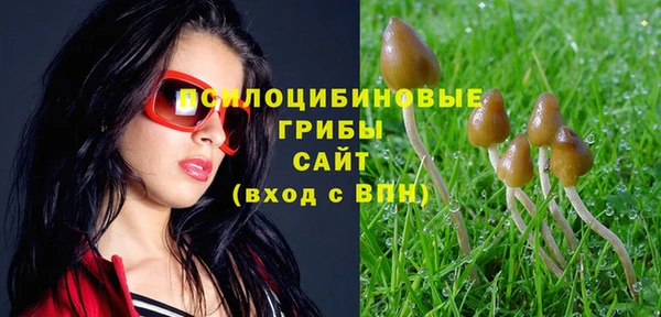 метадон Арсеньев
