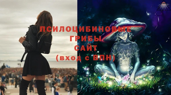 метадон Арсеньев