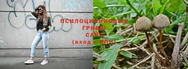 соль курить ск Аркадак